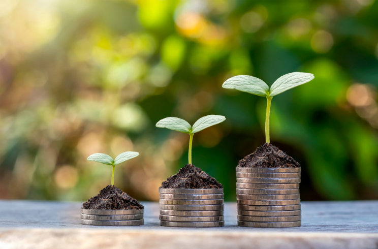 coins with plant